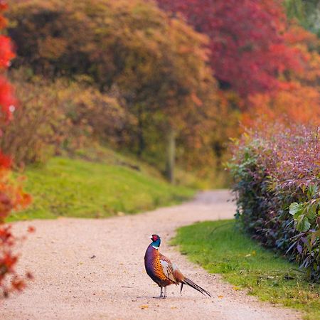 Leonardslee House At Leonardslee Lakes & Gardens Horsham Esterno foto